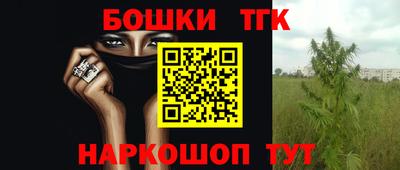 гашик Шахты