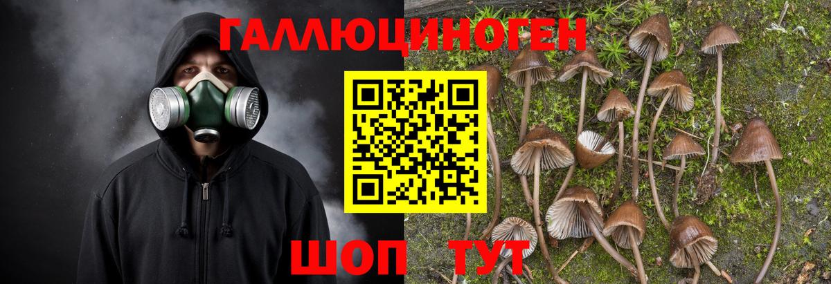 Псилоцибиновые грибы Psilocybe  Вход с VPN  Псилоцибиновые грибы Psilocybe  Азнакаево 