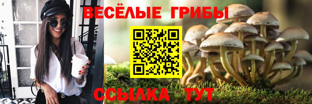 Галлюциногенные грибы GOLDEN TEACHER Азнакаево