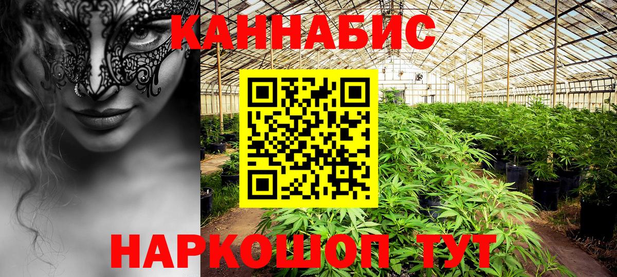 Шишки марихуана конопля Азнакаево